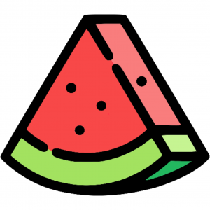 Melon Software GmbH