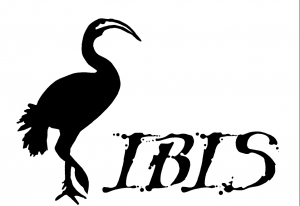 IBIS e.V.